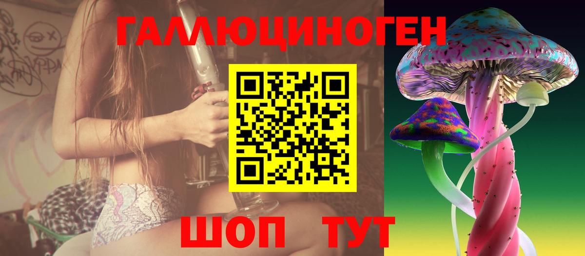 Псилоцибиновые грибы GOLDEN TEACHER  Вход с VPN  Черняховск 