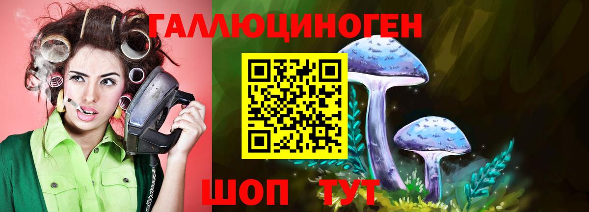 Галлюциногенные грибы мицелий  Галлюциногенные грибы Psilocybine cubensis  Черняховск 