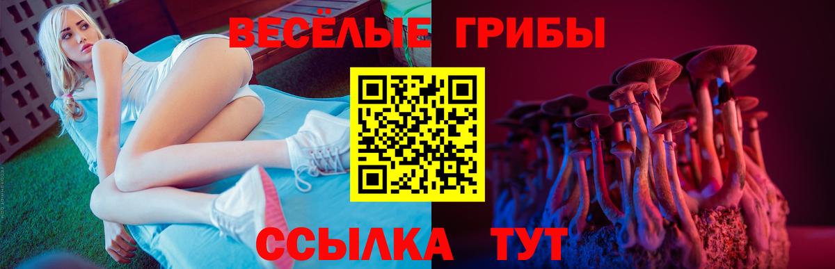 Галлюциногенные грибы Psilocybine cubensis Черняховск