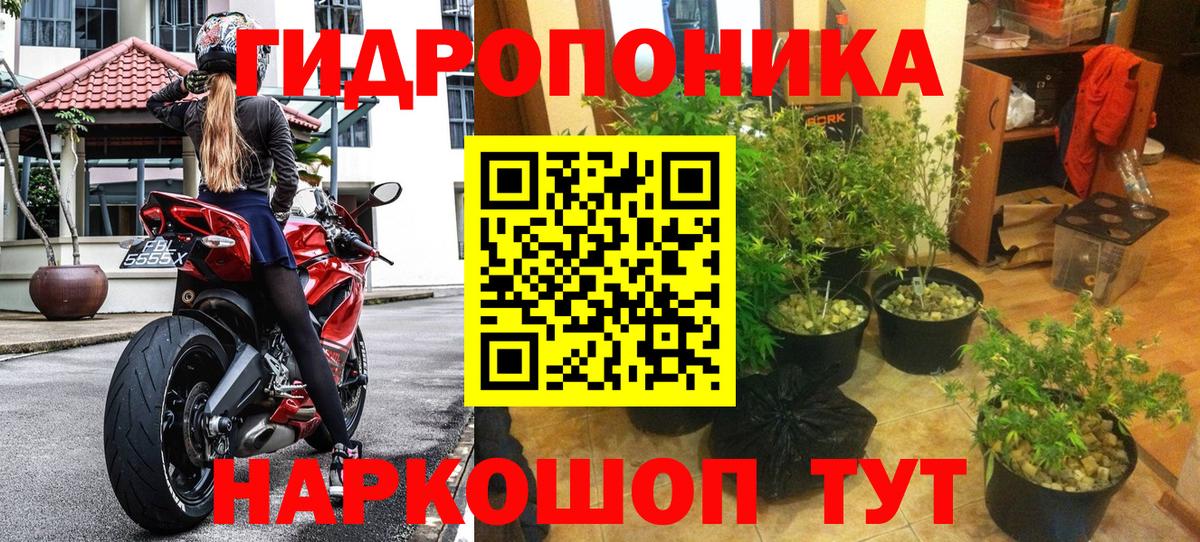 Конопля Bruce Banner Черняховск